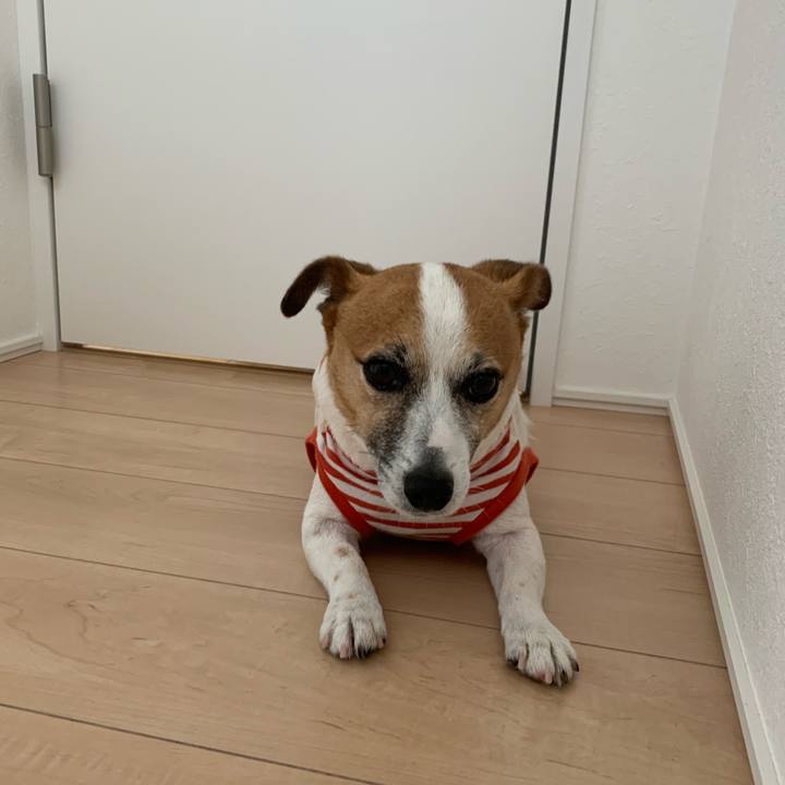 2e3d2875 83f7 4aff b9fa f3ad53869ead 1588554006493