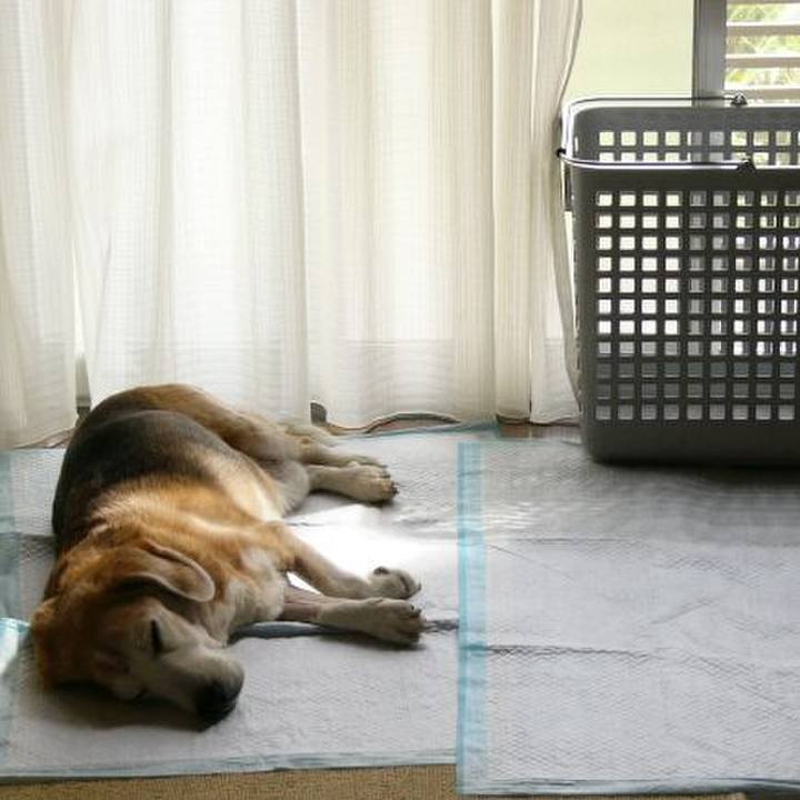 2e3d2fd3 9544 43dd ba68 ac3eef151f3e 1681865418409