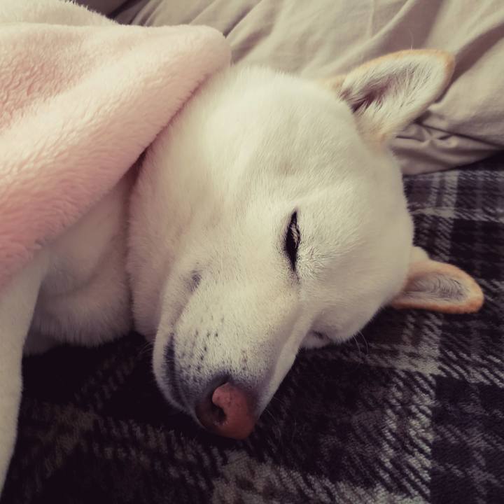 2e3d34c6 589e 4d36 aeaa 895a48155b28 1547423645514