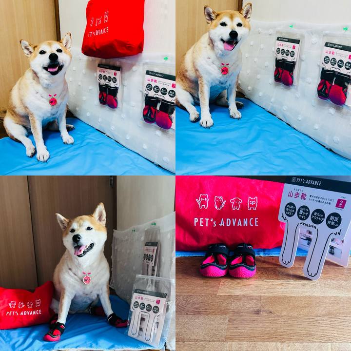 2e3d5e2a a7a2 4ca9 8eb0 1cf8ce9dc389 1726112464288