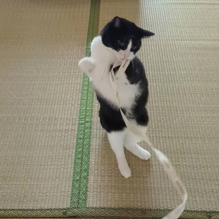 2e3d815f d118 4b38 9847 17b4ef0a4e91 1696823515878