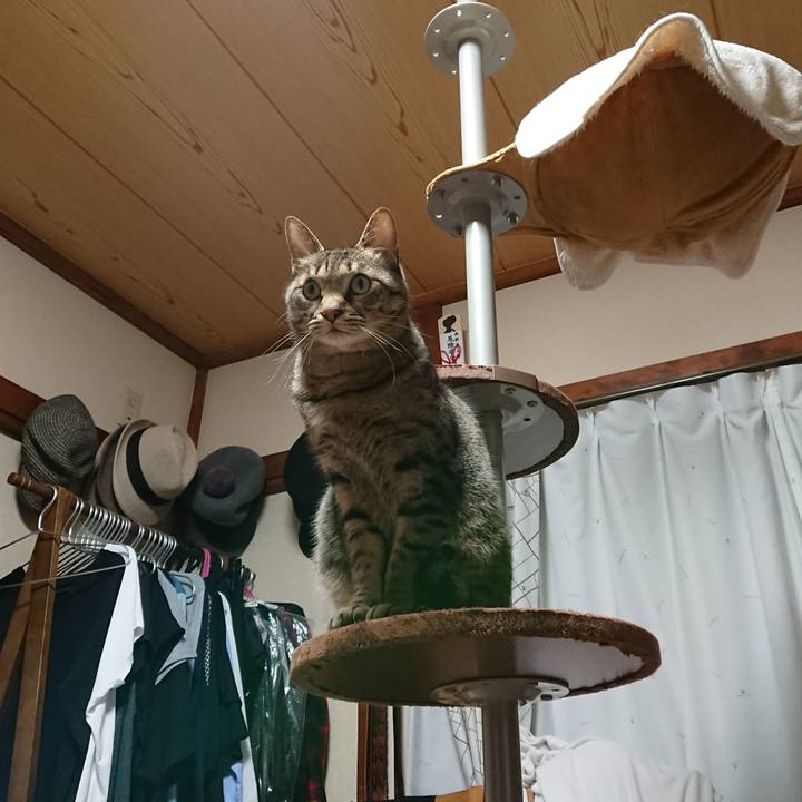 2e3dc008 f654 4a3c a1e3 b73076a117a9 1580313418523