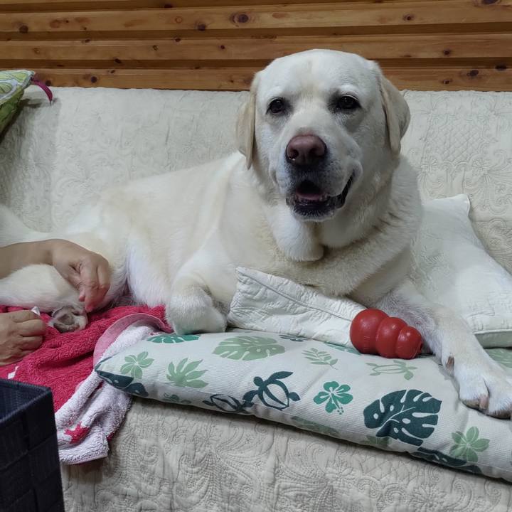 2e3e24f9 9c37 4ff0 88df e085a07d3531 1658056369113