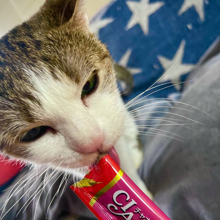 2e3e9070 bf5e 4f01 9414 58e565a766cd 1627373498264