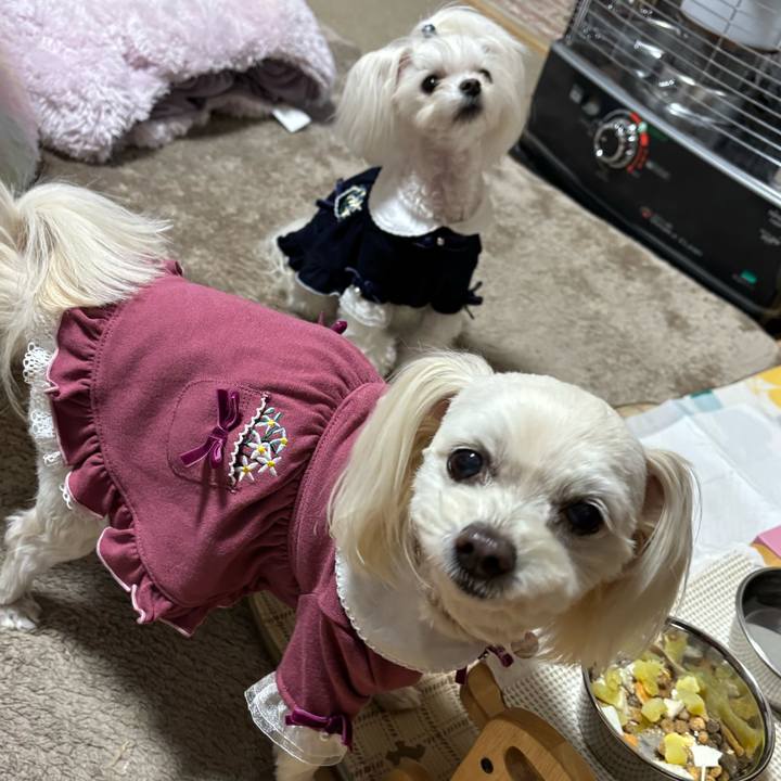 2e3ef936 a061 4333 9139 c0397e80750e 1770275498814