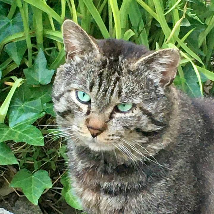 2e3f0949 8cb1 44df bf2a 1c130babd8ba 1622708216593