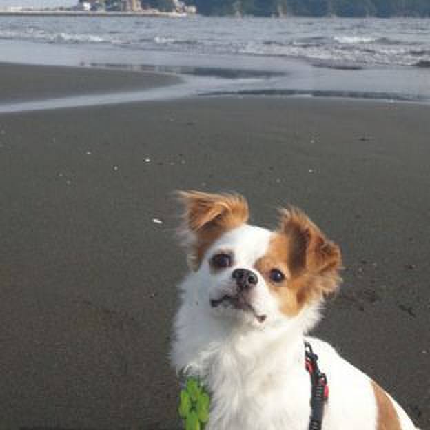 2e3f69e5 6421 4da1 bb72 06188ec8a2fe 1687960677440