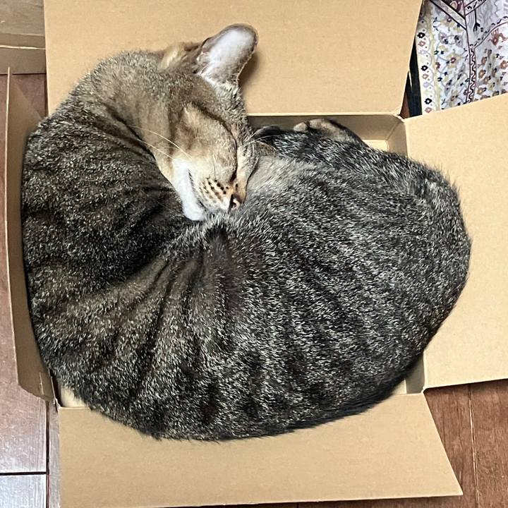 2e3fe4b4 7897 4b92 9058 4d14272efc5d 1772716908877