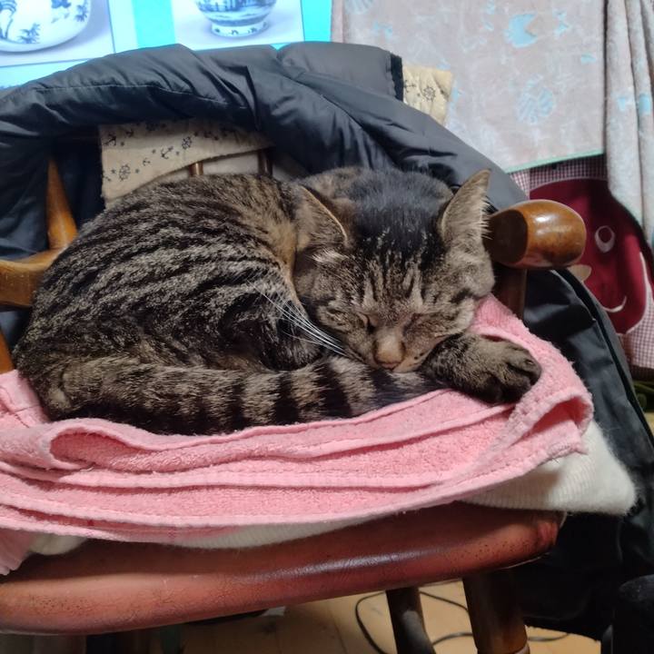 2e3fe876 697d 4433 9633 c52c69656ebb 1711188310589