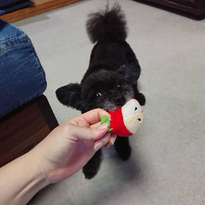 2e405d04 ef52 46d6 8e45 60e9fd29cd4b 1592124072897