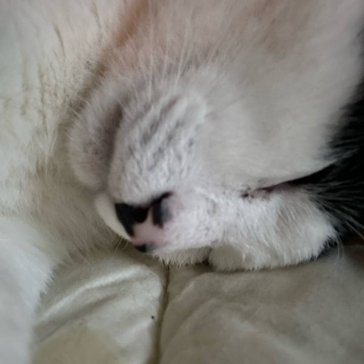 2e4063b8 7ea6 44d5 9728 080d958786e7 1651607357502