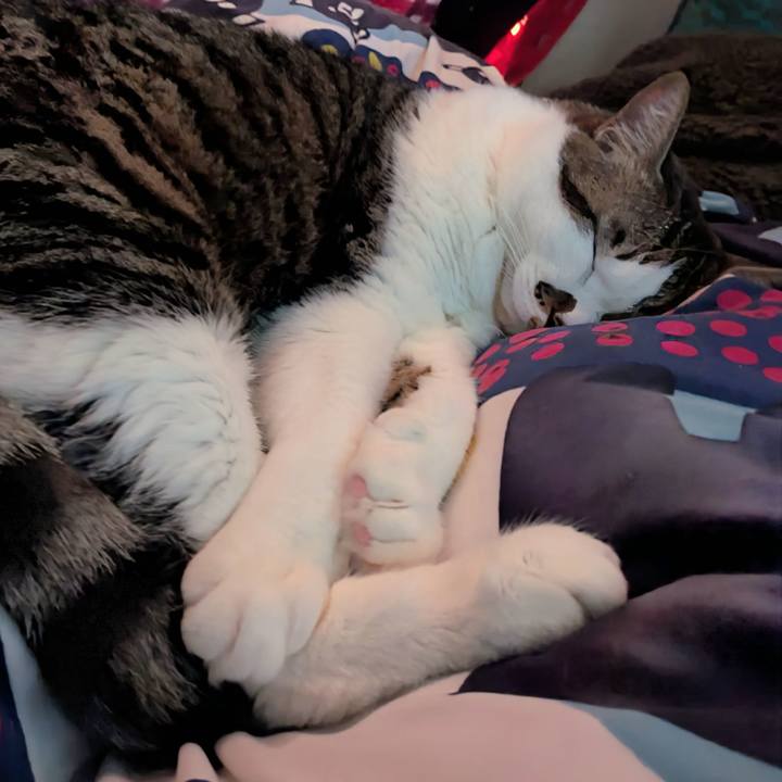 2e40afdd 5a38 42b4 b1f1 a170c400a67f 1730673996734