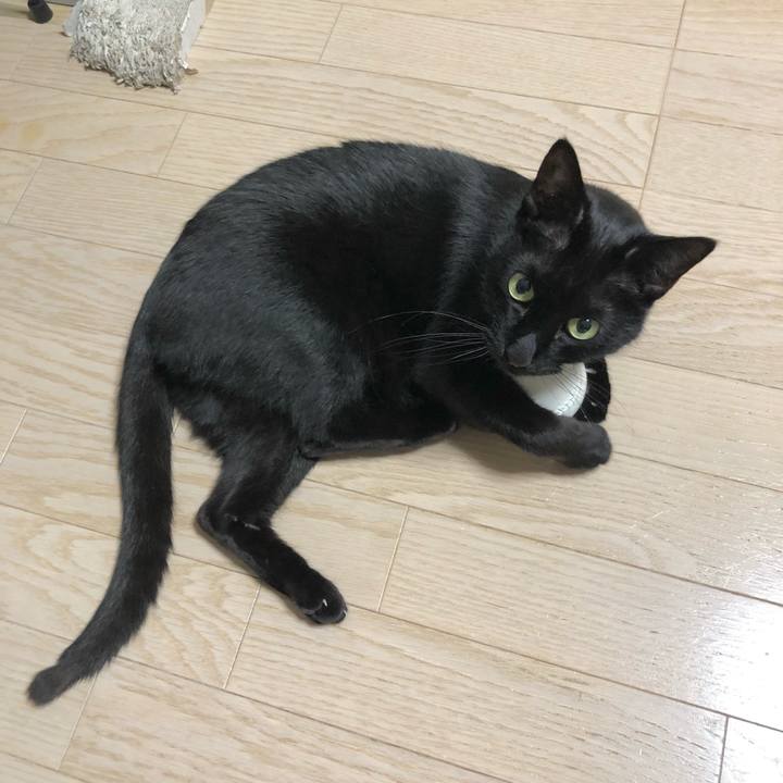 2e40ccb3 f085 47e5 88fe 8b519bbda7b0 1613742970549