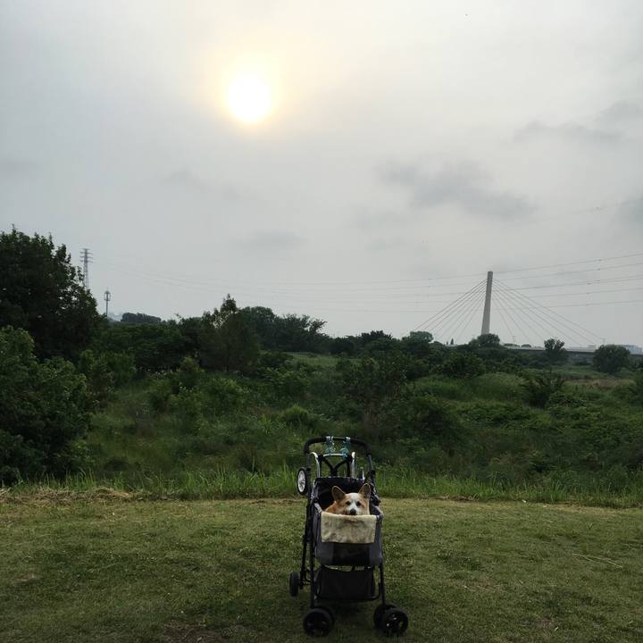 2e40cde6 9eaf 49cd a2ed e18e81e681e5 1559425510216