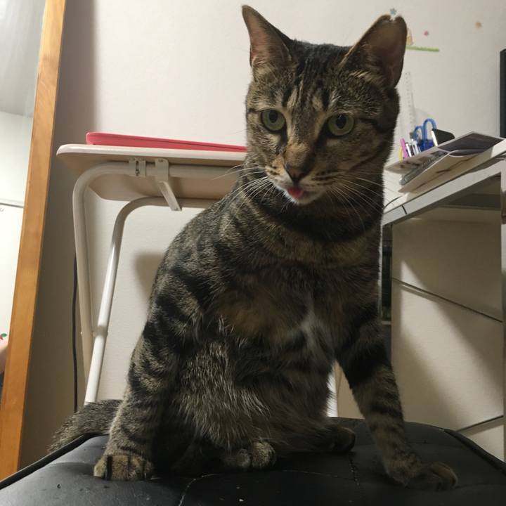 2e4125c3 b613 4eca 9342 b82ff5612aa9 1527175052598