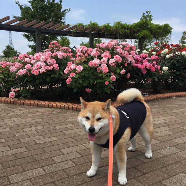 2e4141a0 a9f9 4e17 9474 e857c08f77b6 1614984744962