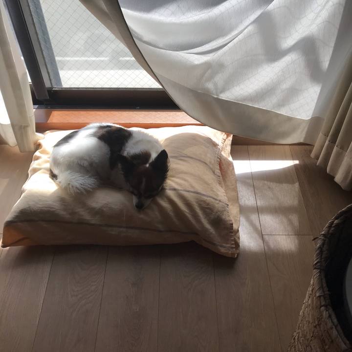 2e414212 1ee6 40ab 8a77 85b757588b1d 1663300994751