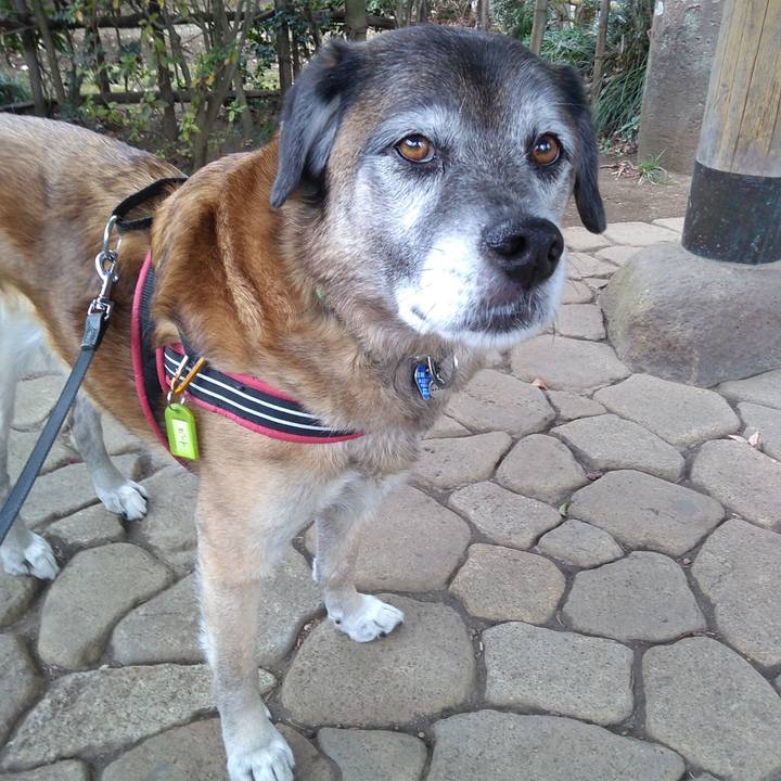 2e4147ef d4f5 4054 838f 4199a33036c2 1549328806970