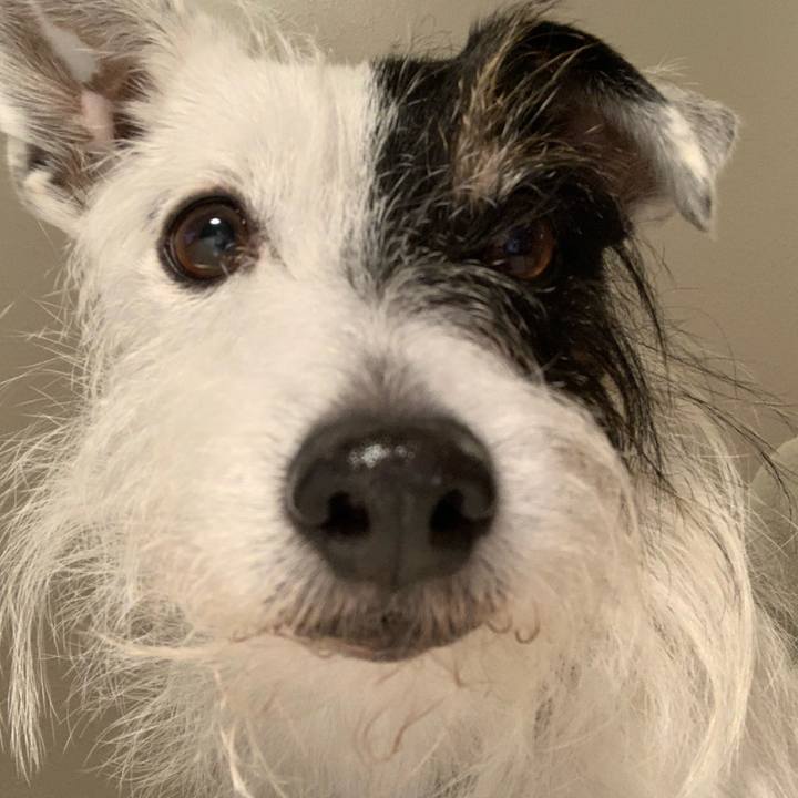 2e418363 8cba 49f3 921a b2367376b209 1702553514512