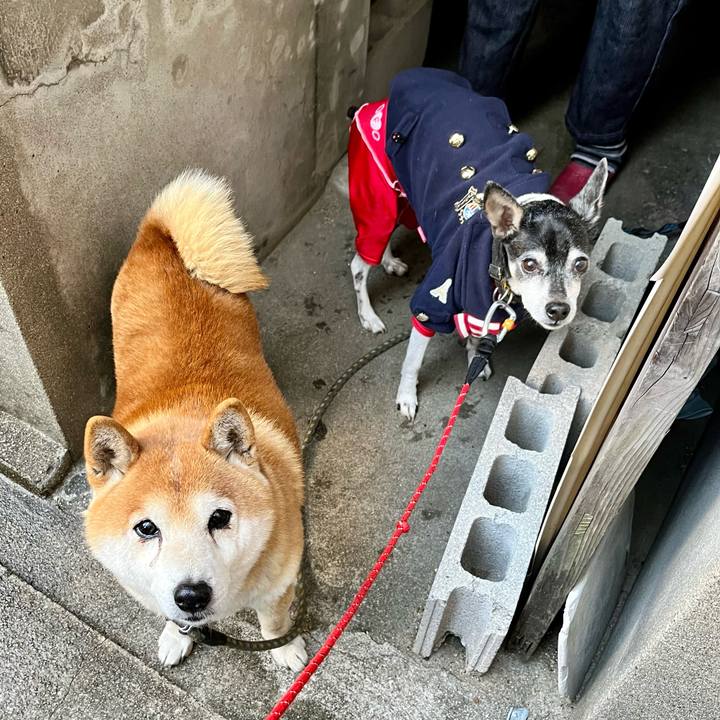 2e418e48 d54e 490c 8272 70f46155ac67 1645835827819