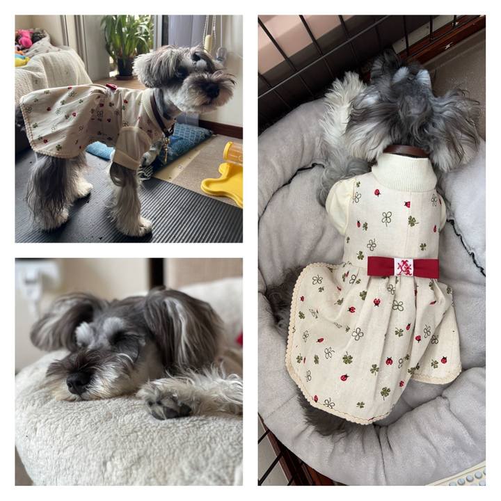 2e41a0d3 ad79 475a b22c e9dc5e2f1a65 1713339391040