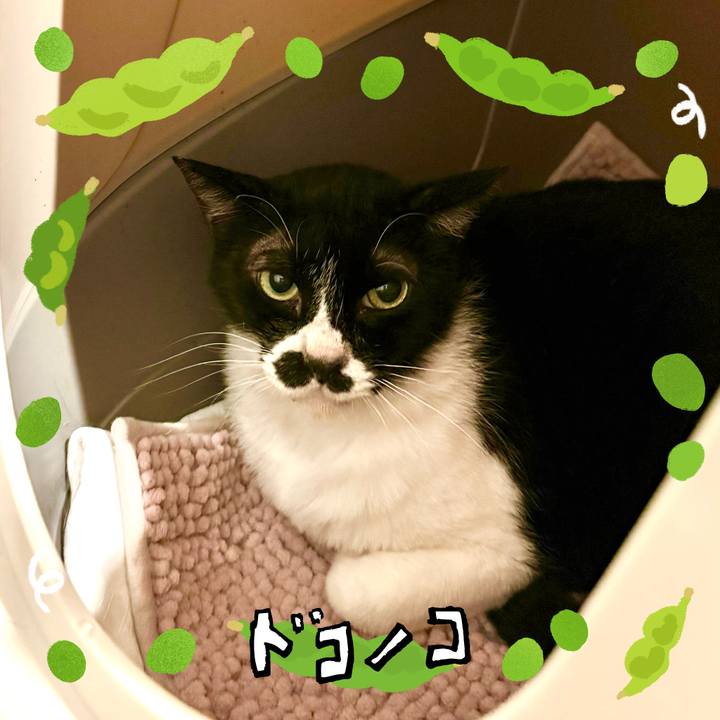 2e41b1cd 7d06 4c0d baf8 c866f6ea47ea 1720997693817