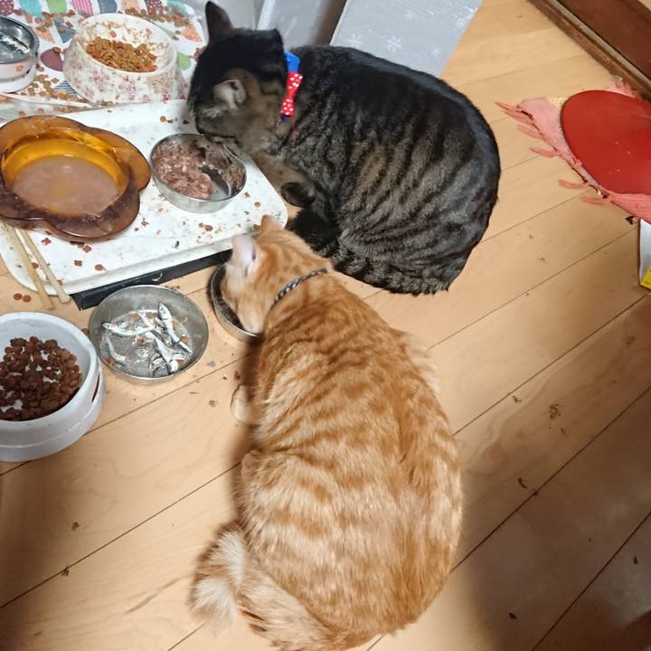 2e41ca84 ca25 4d59 af3e 8ac02d2cda86 1642326702525