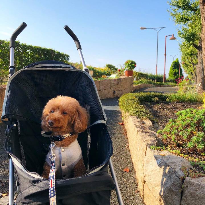 2e41f1f5 b465 42bd 896d 7f9b88ae2bef 1604897885388