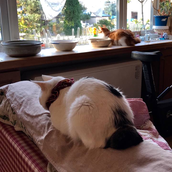 2e42069e d21f 48bc b7c9 717b6618d271 1569879705094