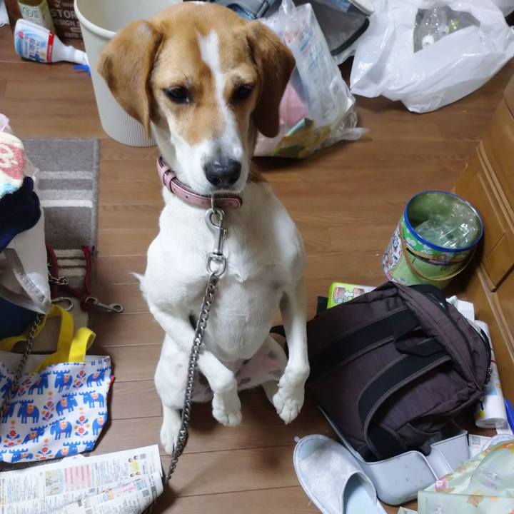 2e4252b6 2110 46b0 bc69 9b00e9a73da8 1592104214722