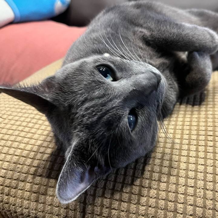 2e425c21 cf94 4419 bed1 3084f9c2d738 1718189335702