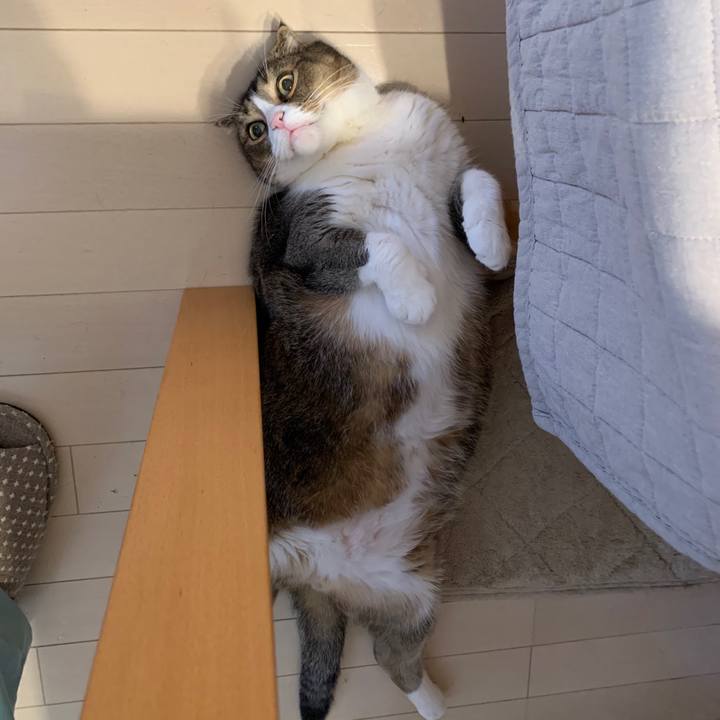 2e427509 5670 4fa2 95b8 18d41f589d6e 1578022656197