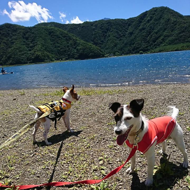 2e429576 2069 402d b423 4f78f3a51c71 1534907082214