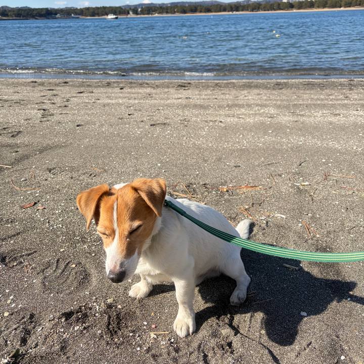 2e42a228 7207 4dcf 9231 b4792a4af53c 1769913903198