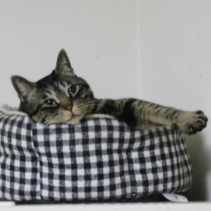 2e42d026 df6a 426b 894e 55565656a7c6 1617282039105