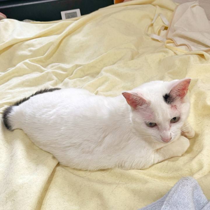 2e42d4c2 7d91 4e2f 80f4 ef129585ad05 1752287011102