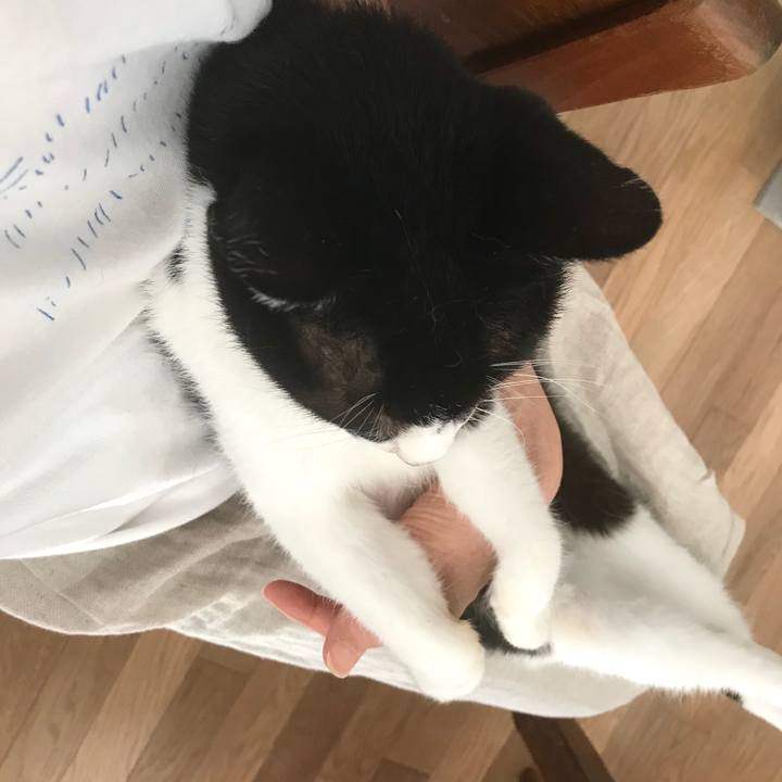 2e432908 de1e 48cb 9034 f51a9c256075 1570422181270