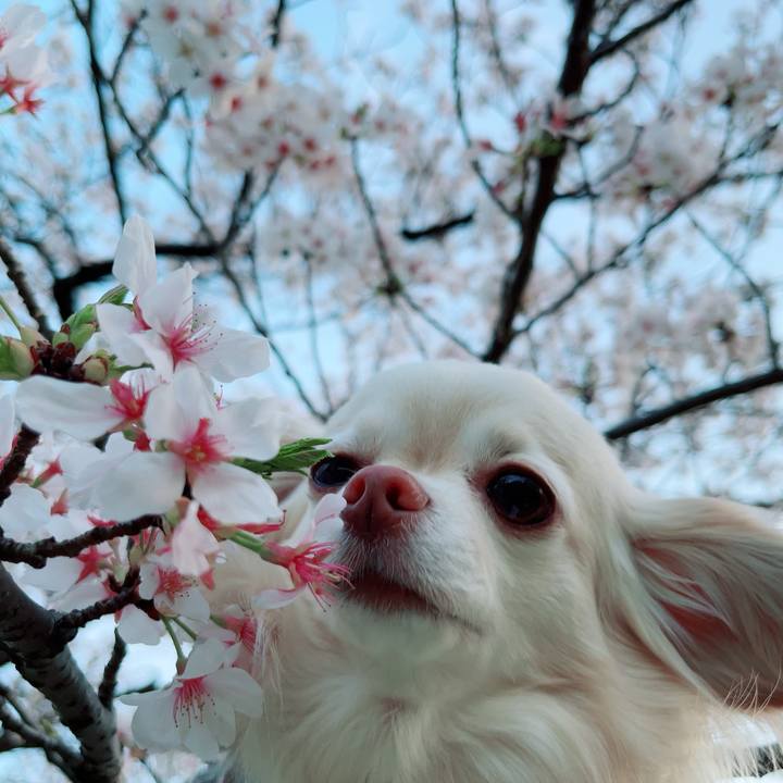 2e436e13 718d 4773 8a3a 335c572d2ad5 1712744278178