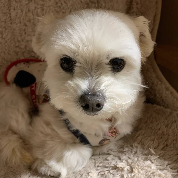 2e43a826 6a15 4340 8bfc a8eb8e706ca4 1643956039086