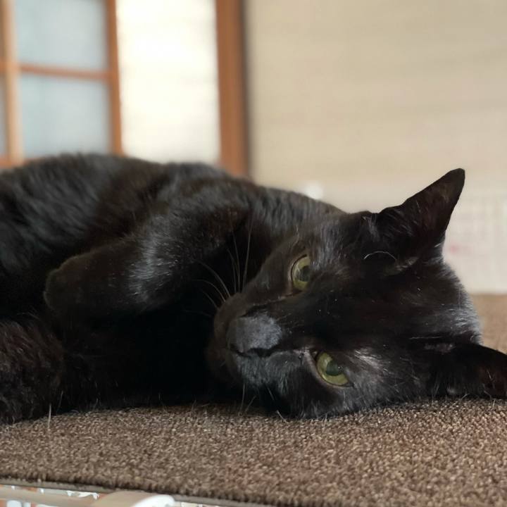 2e43bb90 3557 4b9b 8ef4 ce6e0cc2fc2e 1625708575942