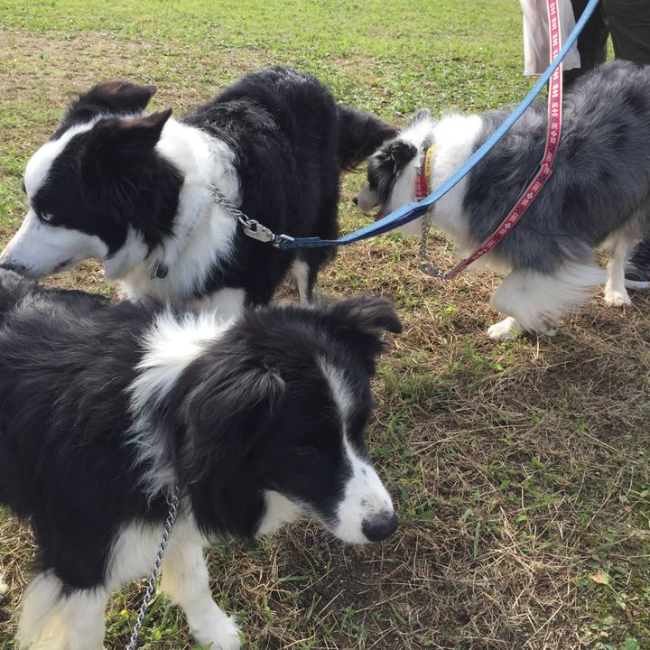 2e43ced4 53f0 4f52 96ab eb2ab977993e 1572140528769