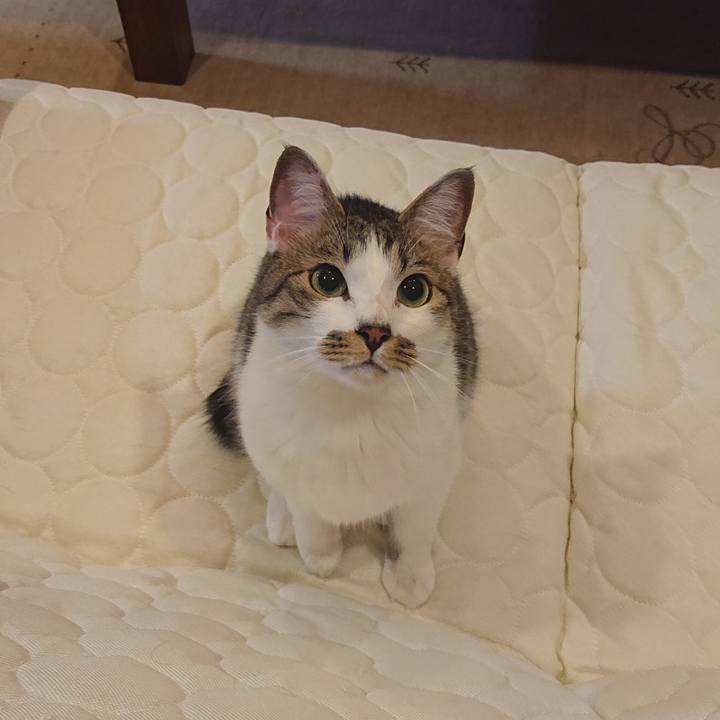 2e43eb93 fb44 4918 9788 e306492cb2fd 1590420926907