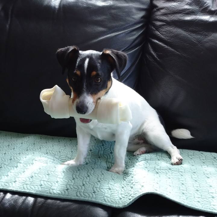 2e43ee86 dd2d 45a1 bf79 bba0b5c2570a 1592361111913