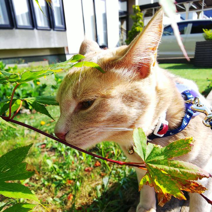 2e4410b6 6af8 427e bfc3 5942bffa7f33 1560125646555