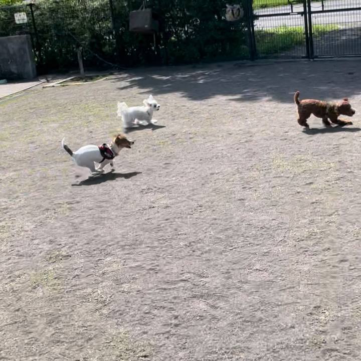 2e441604 9782 40dc 8fa8 a4ddaf7961cc 1683265608697