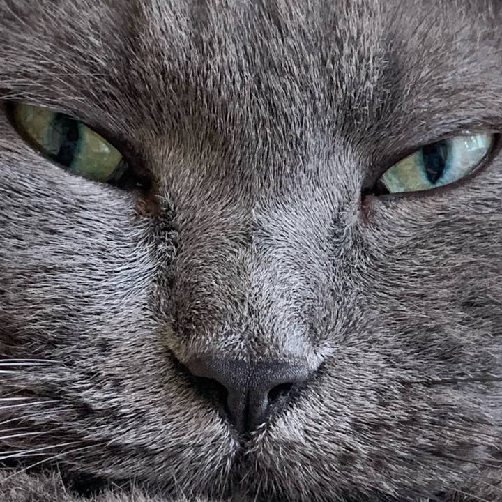 2e44187b 2c4d 4d94 8661 5720927c73fc 1666402859893