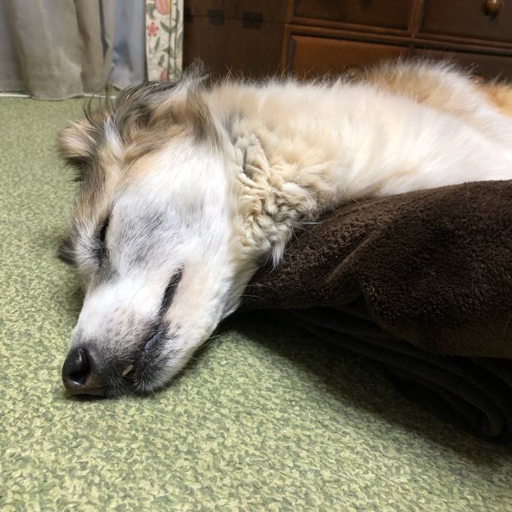 2e44355e 53a2 4c58 a3dc f153c494b10d 1552035367514