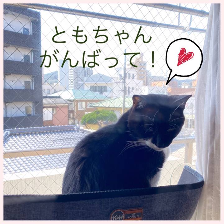 2e44a138 ee64 4f71 98e5 c34ac2076d1b 1618375808906