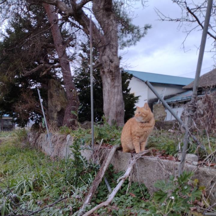 2e44ae11 2568 4498 8f17 2d689a32304b 1670886188967