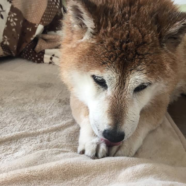 2e4528f6 b1b8 4003 8696 50511d8f0a72 1554609882245